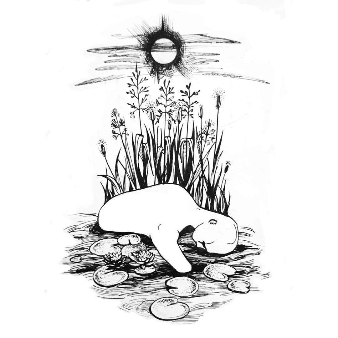 Czarno-biała ilustracja przedstawiająca jasne, leżące stworzenie pośród roślin, kamieni i wody, z ciemnym słońcem nad kompozycją.