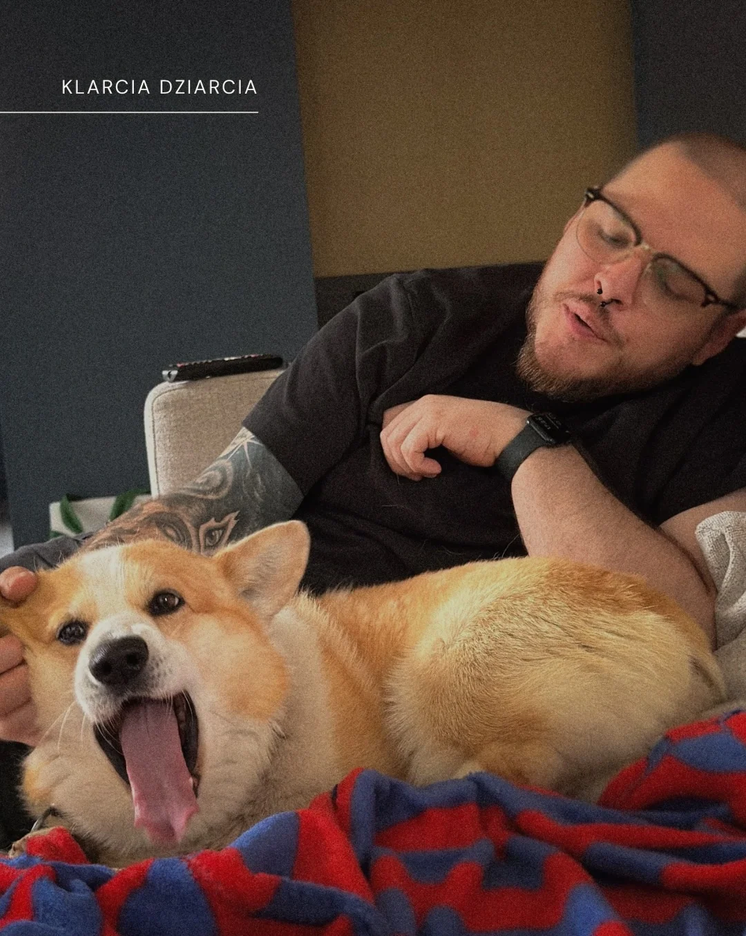 Karuzela ze zdjęciami psa rasy corgi na trawie i przy schodach, ptaka siedzącego na gałęzi oraz polnych kwiatów; na pierwszym i ostatnim slajdzie widoczny jest tekst o odpoczynku., zdjęcie 6 z 11