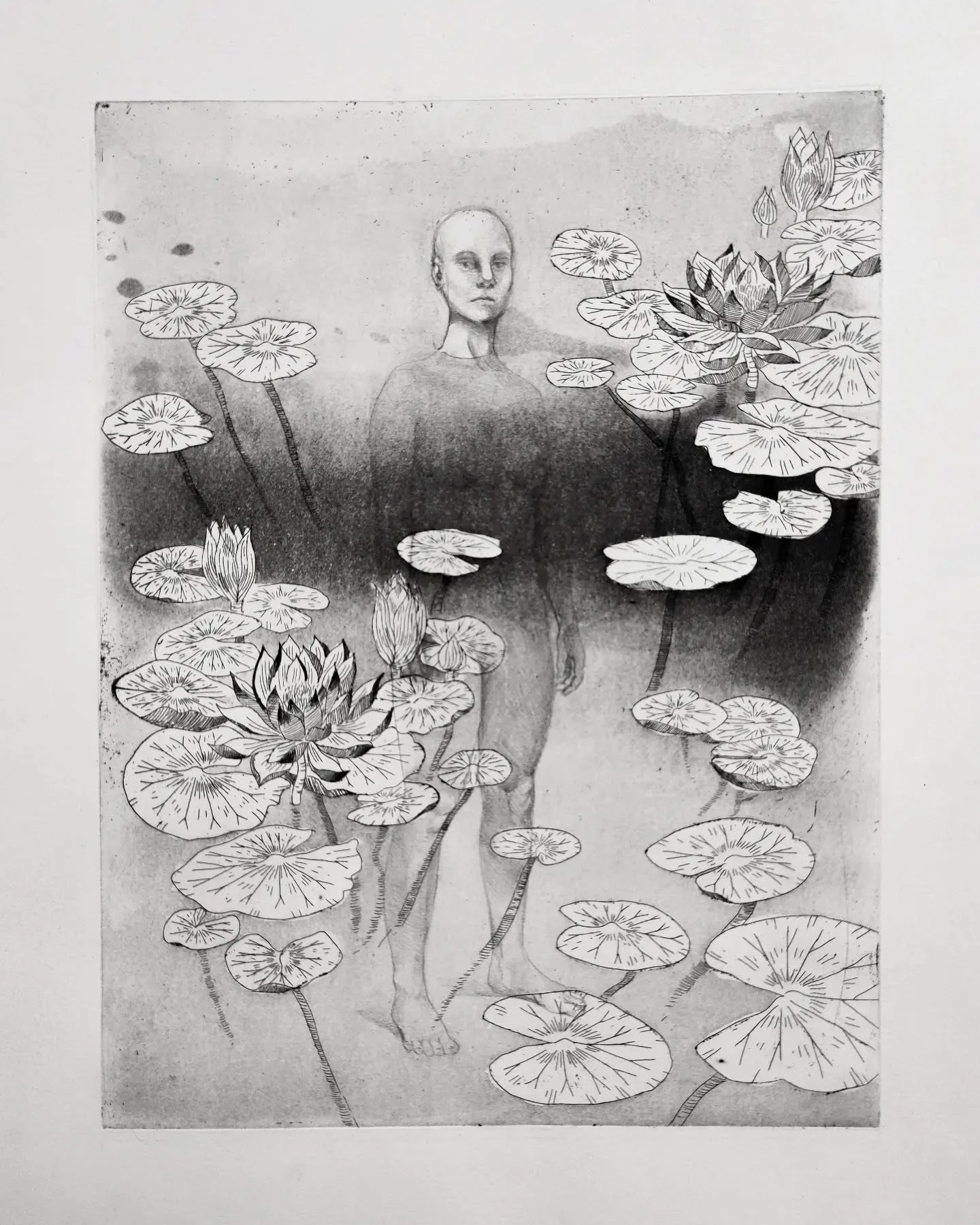 Monochromatyczna grafika przedstawiająca postać zanurzoną wśród nenufarów i kwiatów wodnych.