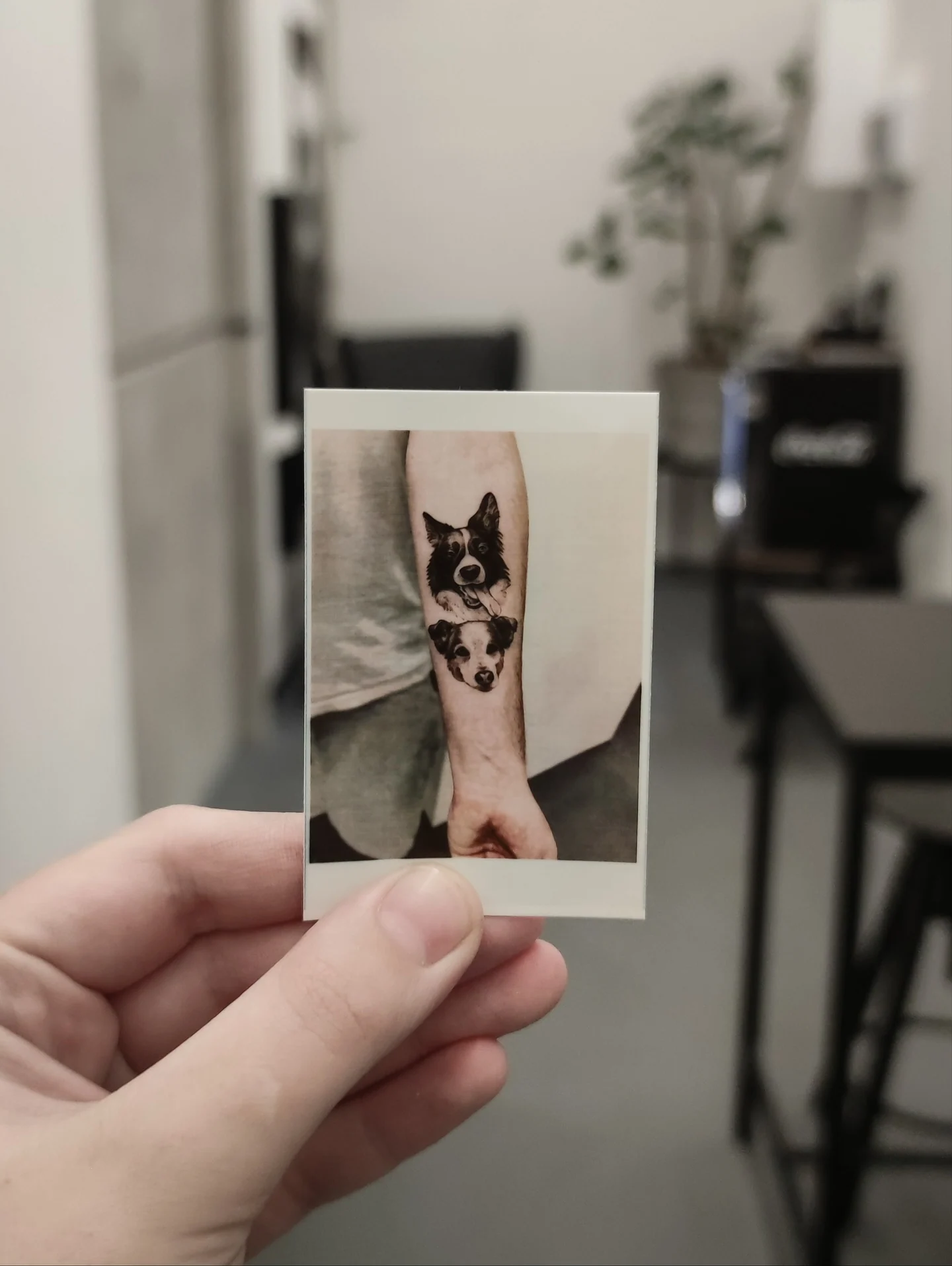 Voucher na tatuaż przedstawiony wśród roślin oraz przykładowe zdjęcia tatuaży, w tym portretów psów i sceny z osłem w prostokątnej kompozycji., zdjęcie 2 z 12