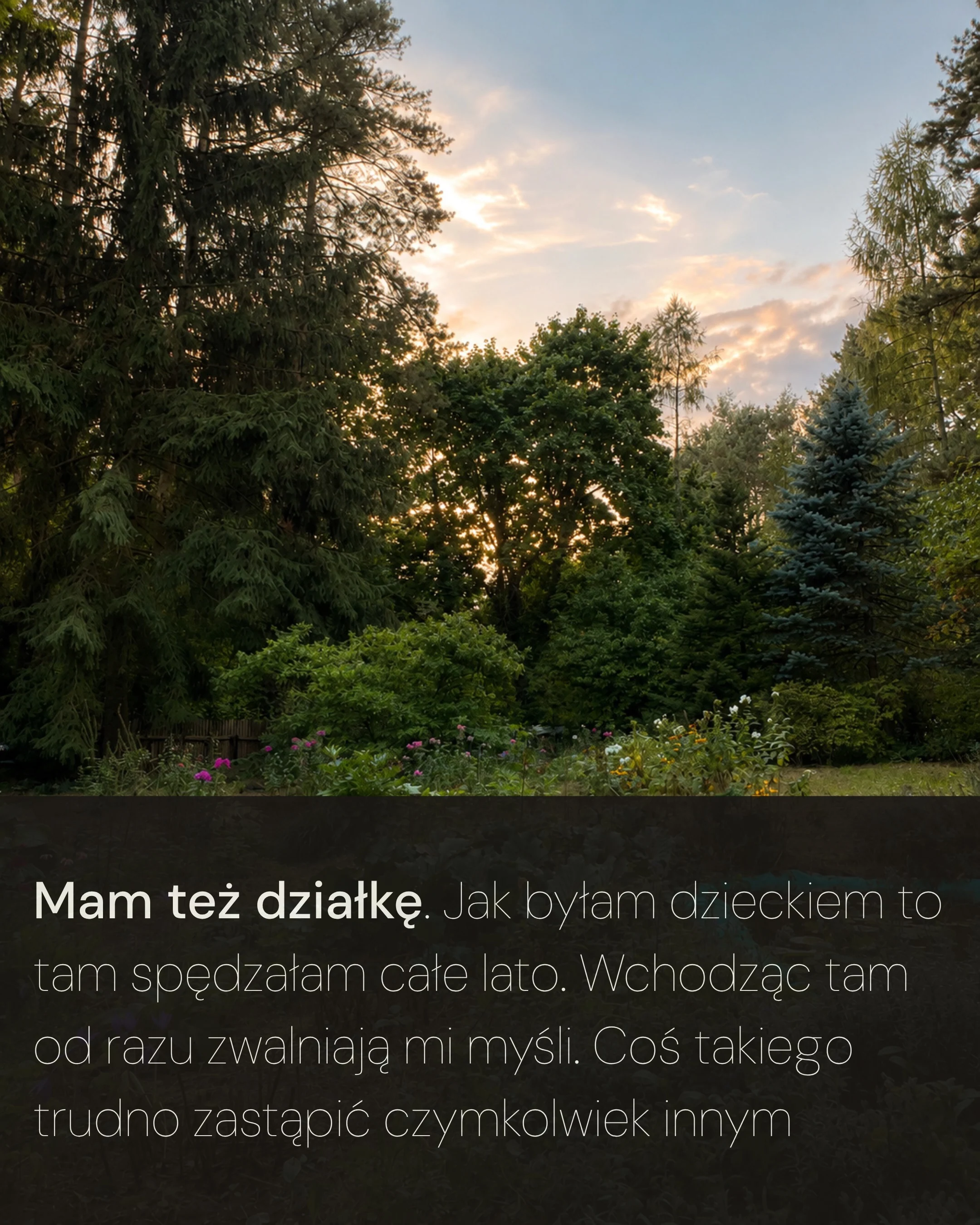 Karuzela przedstawia Klarę w zimowym lesie, Klarę z rowerem w lesie oraz leśny krajobraz z dużym drzewem; na zdjęciach widoczne są napisy o relaksie w naturze, jeździe na rowerze i Lesie Bielańskim., zdjęcie 4 z 6