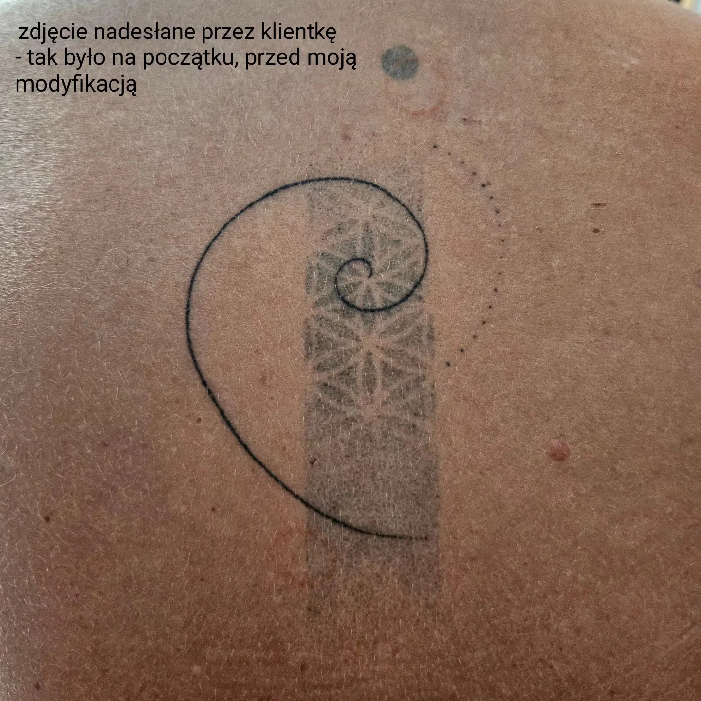 Karuzela pokazująca etapowy cover-up tatuażu na plecach: wcześniejszy wzór spirali i geometrycznych elementów został przykryty kompozycją z liśćmi, niebieskimi prostokątami i czerwonym akcentem., zdjęcie 6 z 6