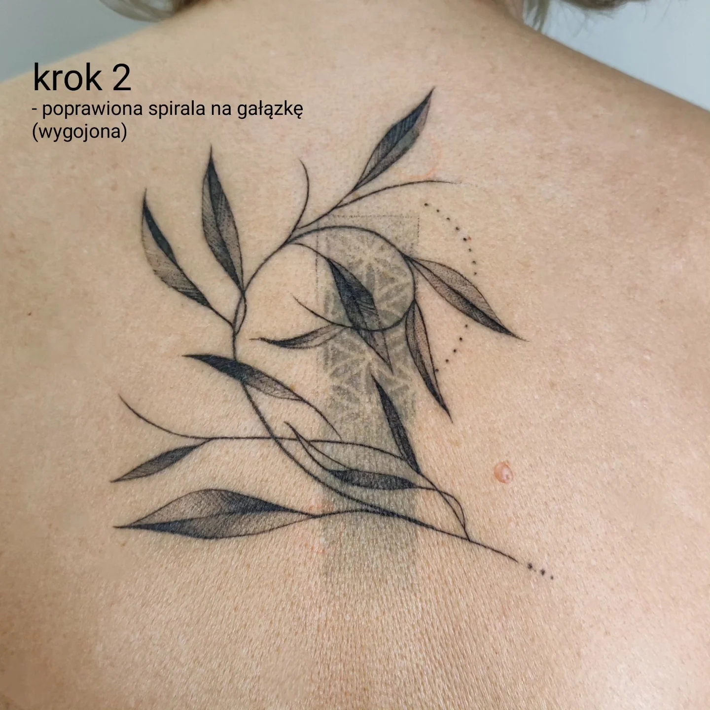 Karuzela pokazująca etapowy cover-up tatuażu na plecach: wcześniejszy wzór spirali i geometrycznych elementów został przykryty kompozycją z liśćmi, niebieskimi prostokątami i czerwonym akcentem., zdjęcie 3 z 6