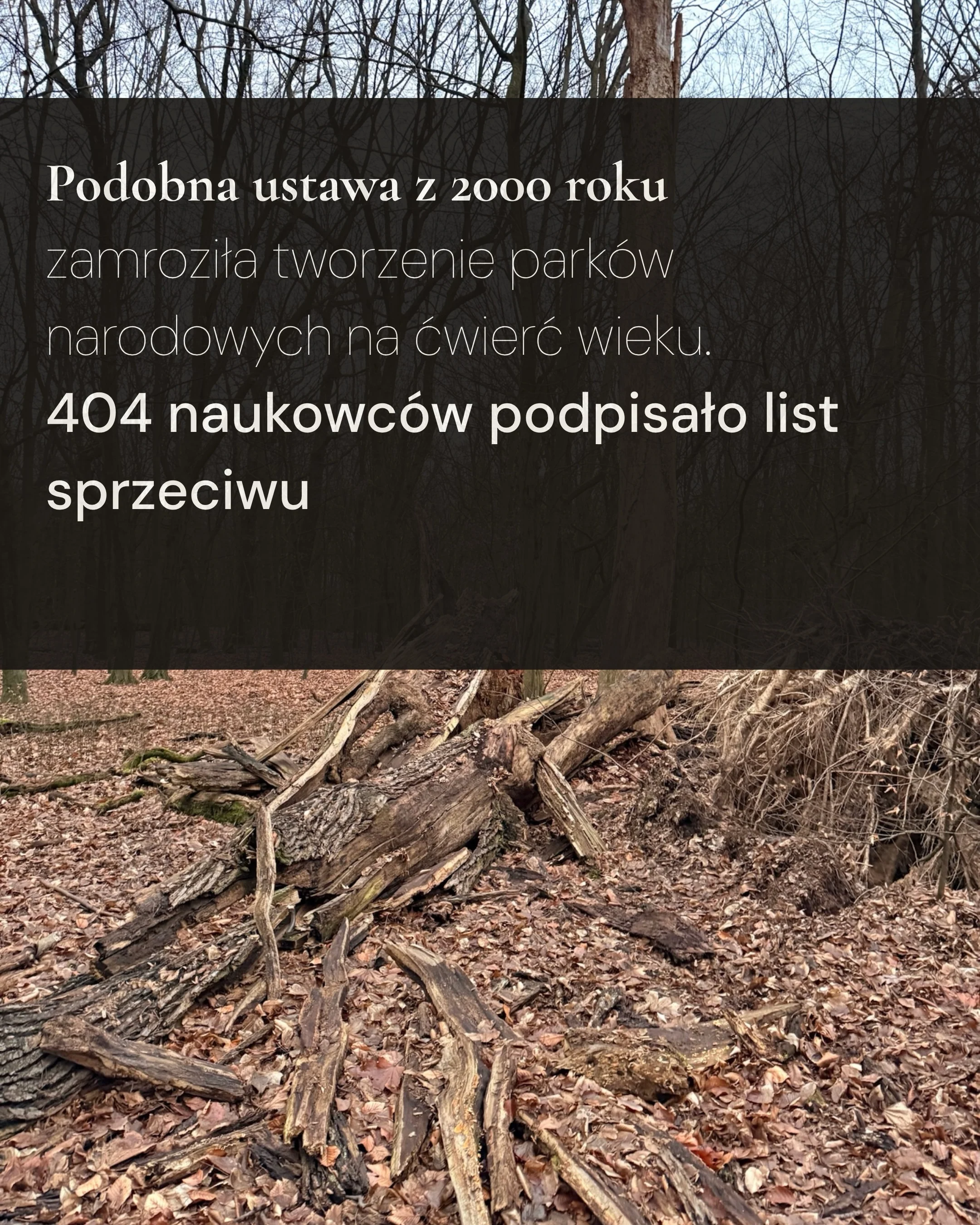 Karuzela dotycząca ochrony rezerwatów przyrody: portret Klary Keczyńskiej w lesie oraz plansze o projekcie lex Romowicz i potrzebie zwiększenia ochrony lasów., zdjęcie 4 z 6