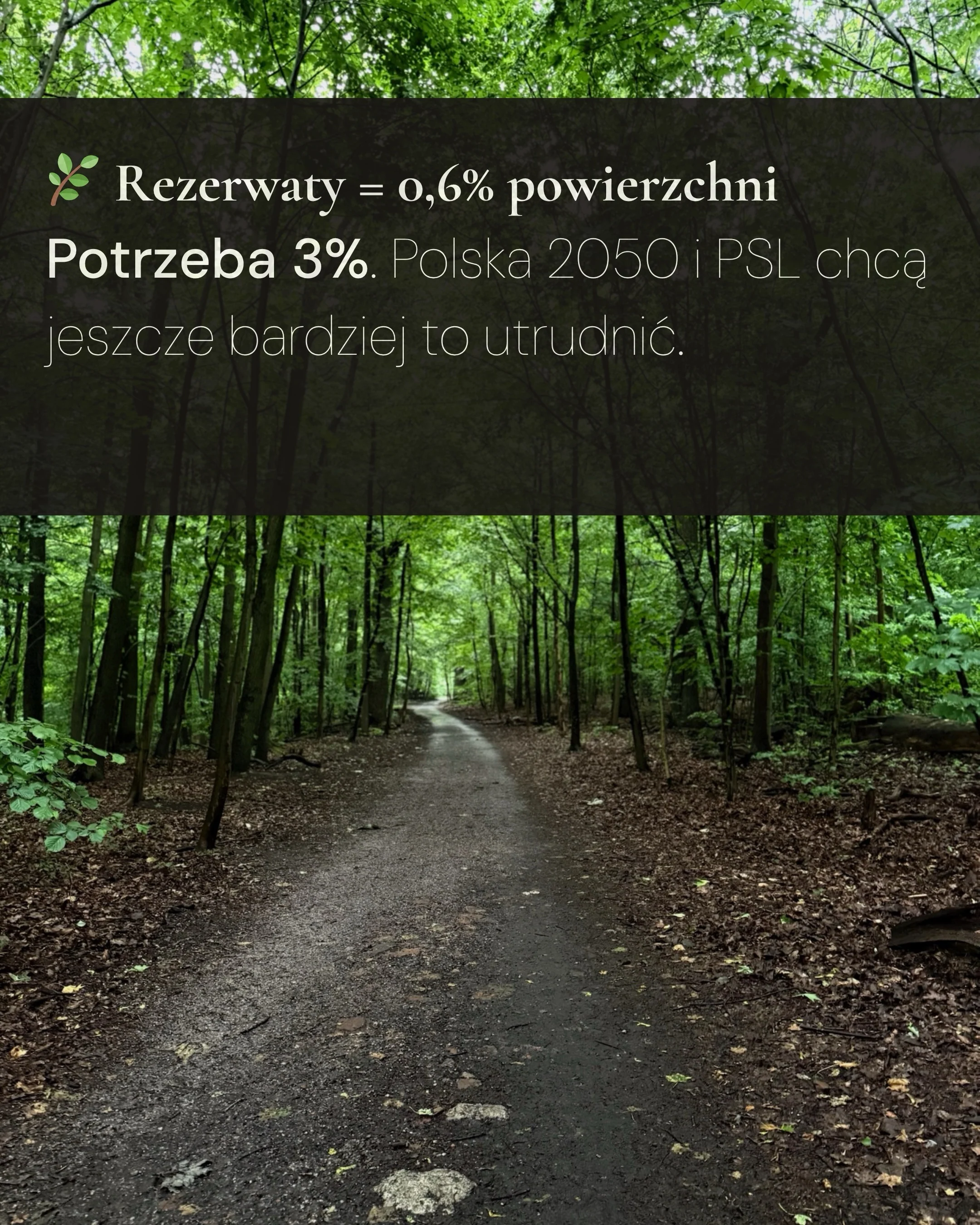 Karuzela dotycząca ochrony rezerwatów przyrody: portret Klary Keczyńskiej w lesie oraz plansze o projekcie lex Romowicz i potrzebie zwiększenia ochrony lasów., zdjęcie 3 z 6