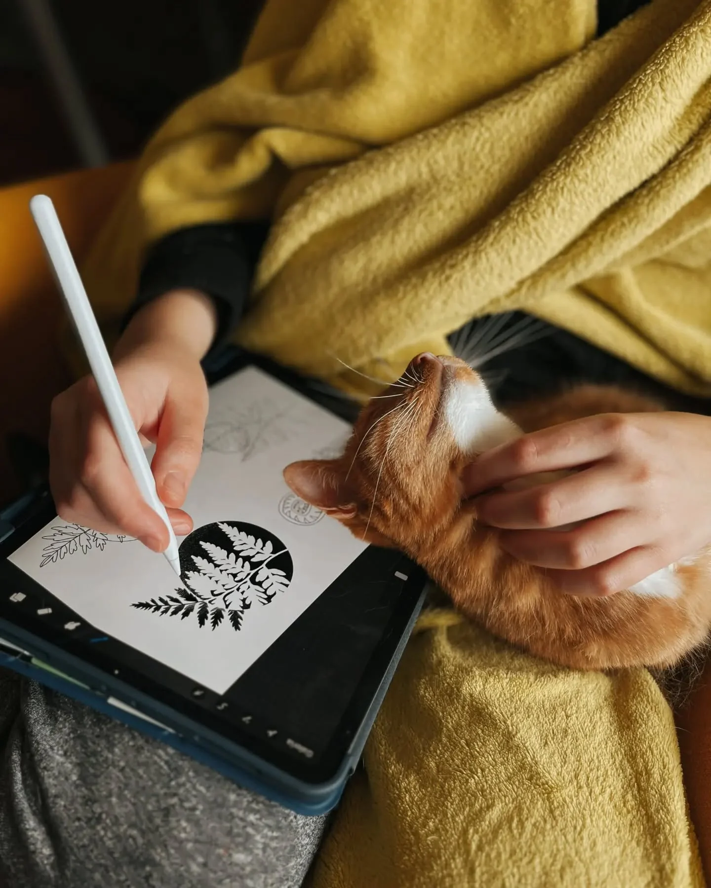 Artystka szkicuje botaniczny projekt na tablecie, siedząc pod kocem z kotem na kolanach.