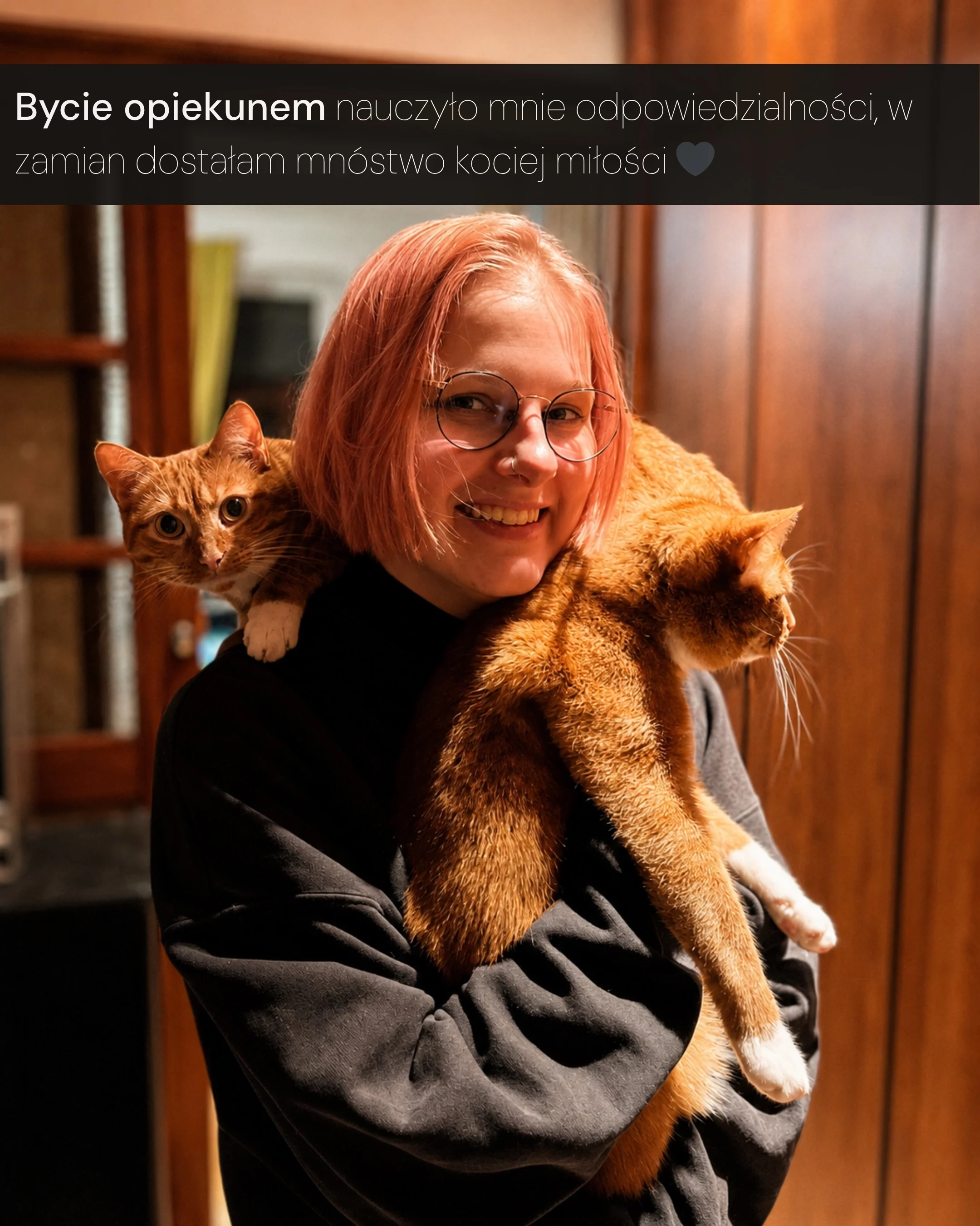 Karuzela zdjęć przedstawia dwa rude koty, Niunię i Kyubiego, odpoczywające na kanapie oraz pozujące w domu; na jednym zdjęciu kot siedzi obok opiekuna., zdjęcie 5 z 6