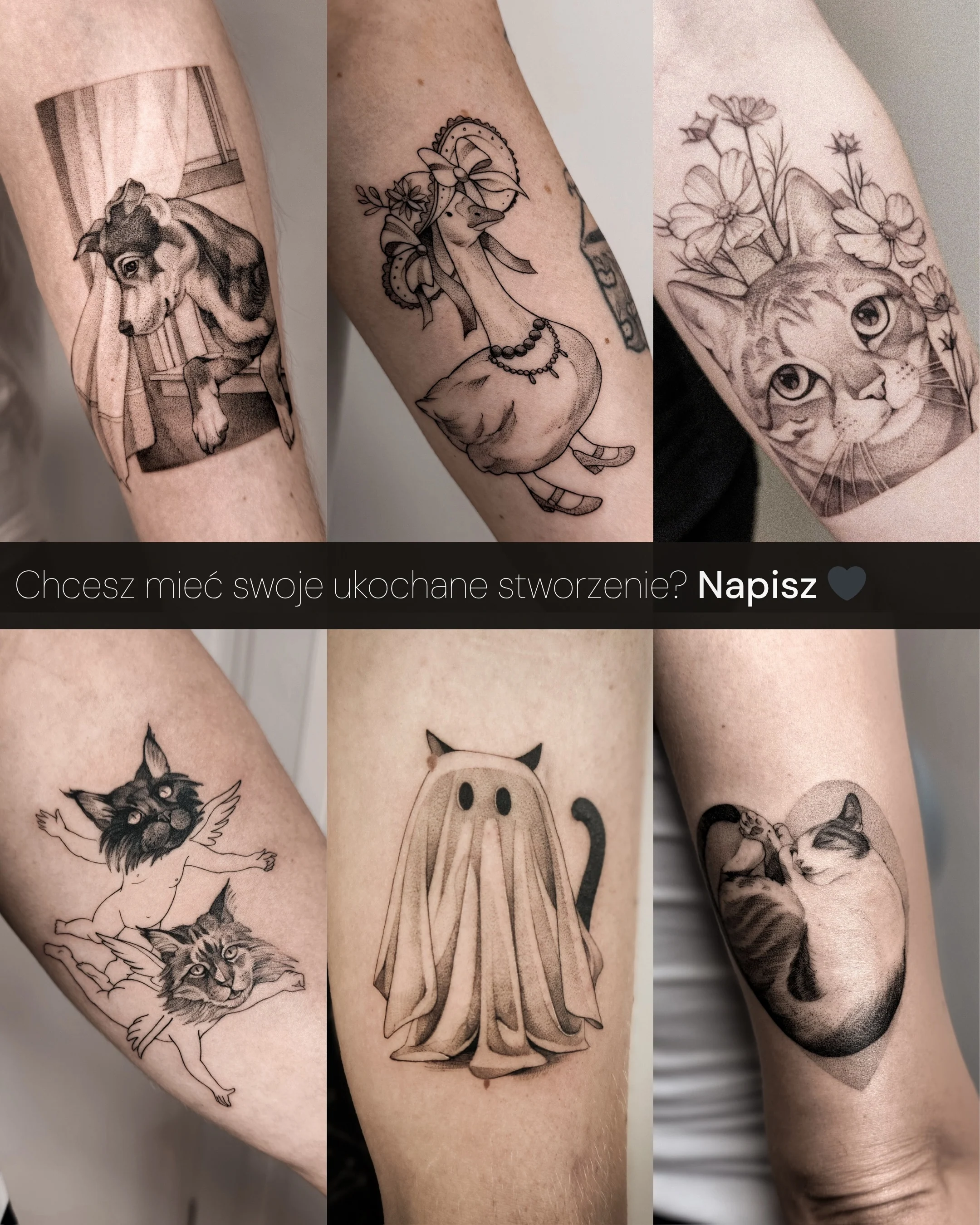 Karuzela zdjęć przedstawia dwa rude koty, Niunię i Kyubiego, odpoczywające na kanapie oraz pozujące w domu; na jednym zdjęciu kot siedzi obok opiekuna., zdjęcie 6 z 6