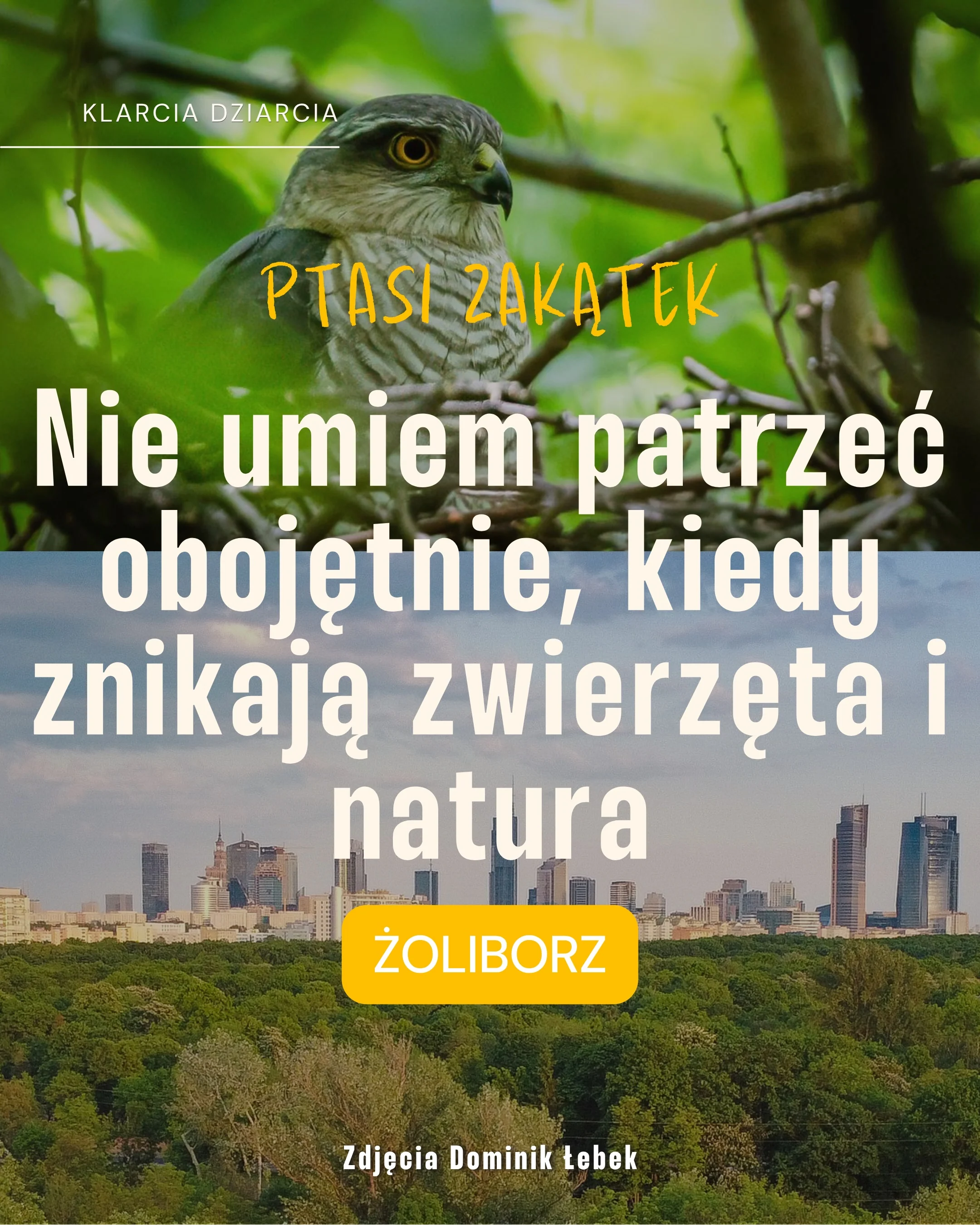 Karuzela z apelem dotyczącym Ptasiego Zakątka na Żoliborzu: zdjęcia ptaka, miejskiej panoramy, lasu i roślin oraz slajd z trzema tatuażami inspirowanymi naturą., zdjęcie 1 z 8