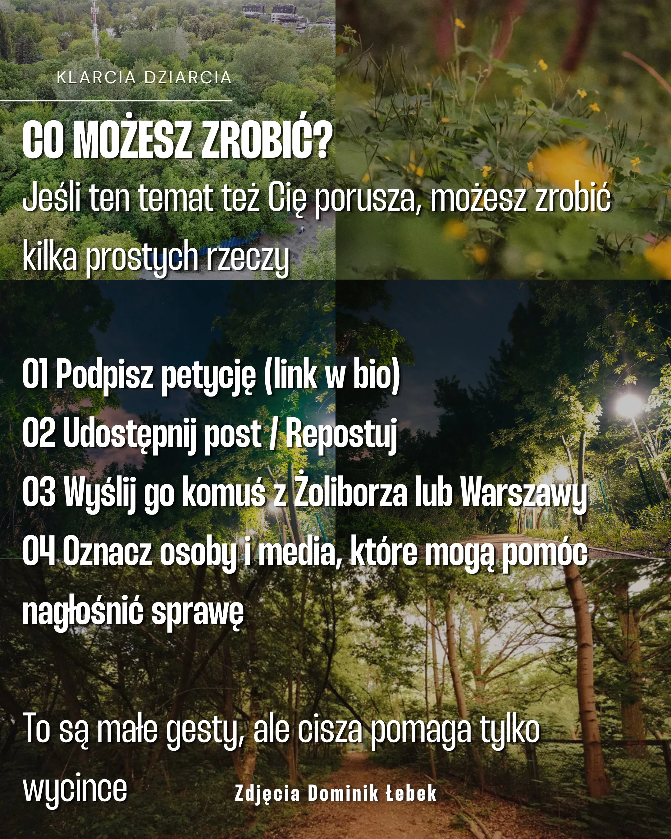 Karuzela z apelem dotyczącym Ptasiego Zakątka na Żoliborzu: zdjęcia ptaka, miejskiej panoramy, lasu i roślin oraz slajd z trzema tatuażami inspirowanymi naturą., zdjęcie 7 z 8