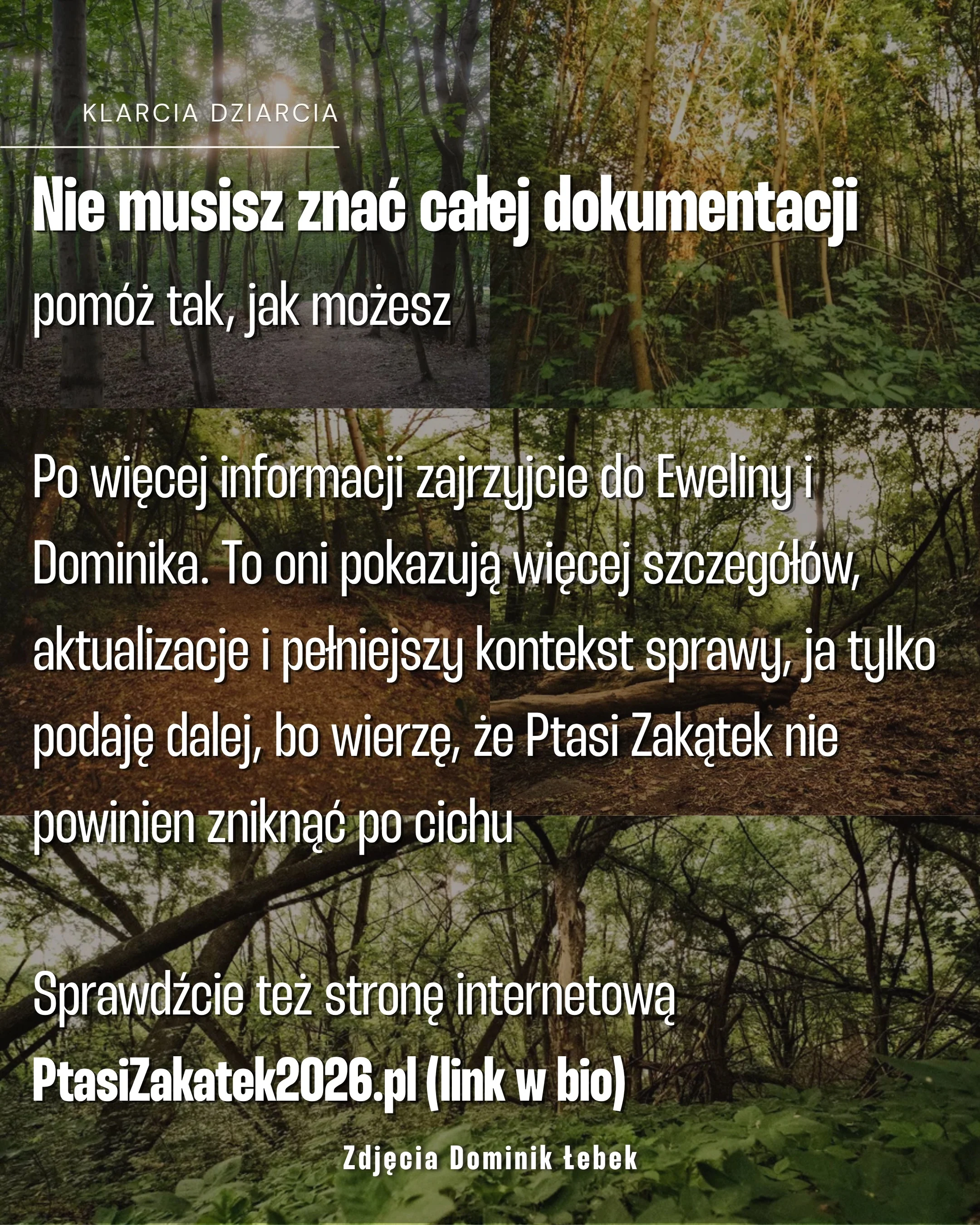 Karuzela z apelem dotyczącym Ptasiego Zakątka na Żoliborzu: zdjęcia ptaka, miejskiej panoramy, lasu i roślin oraz slajd z trzema tatuażami inspirowanymi naturą., zdjęcie 8 z 8