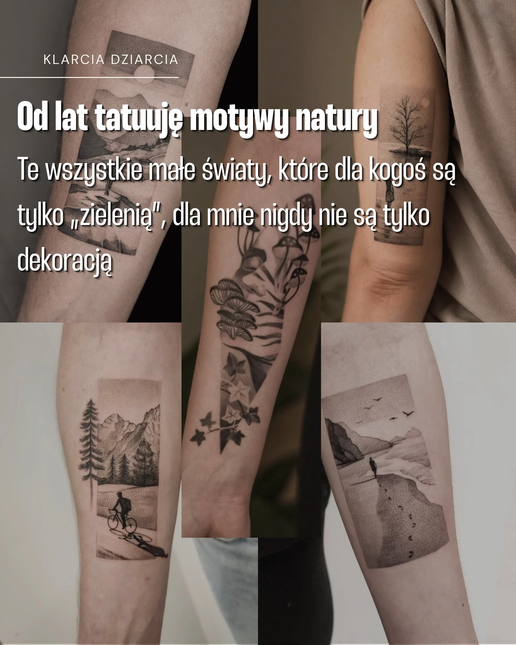 Karuzela z apelem dotyczącym Ptasiego Zakątka na Żoliborzu: zdjęcia ptaka, miejskiej panoramy, lasu i roślin oraz slajd z trzema tatuażami inspirowanymi naturą., zdjęcie 2 z 8