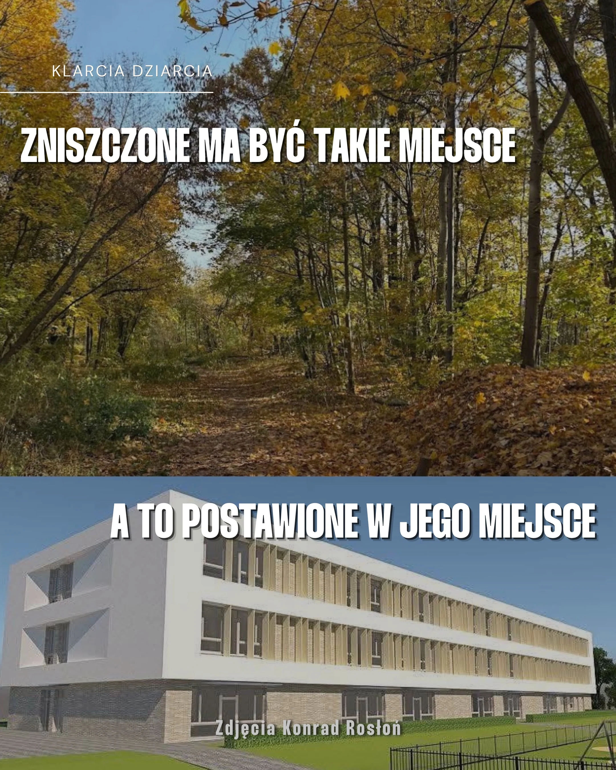 Karuzela z apelem dotyczącym Ptasiego Zakątka na Żoliborzu: zdjęcia ptaka, miejskiej panoramy, lasu i roślin oraz slajd z trzema tatuażami inspirowanymi naturą., zdjęcie 6 z 8