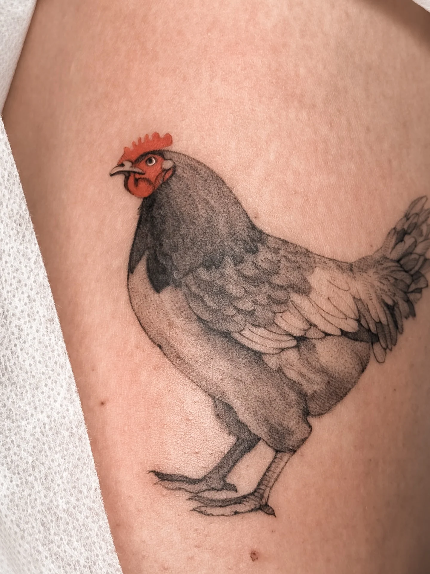 Cztery ujęcia tatuażu przedstawiającego kurę na nodze; widoczny jest szczegółowy czarno-szary wizerunek ptaka z czerwonym grzebieniem i dzwonkami., zdjęcie 1 z 3