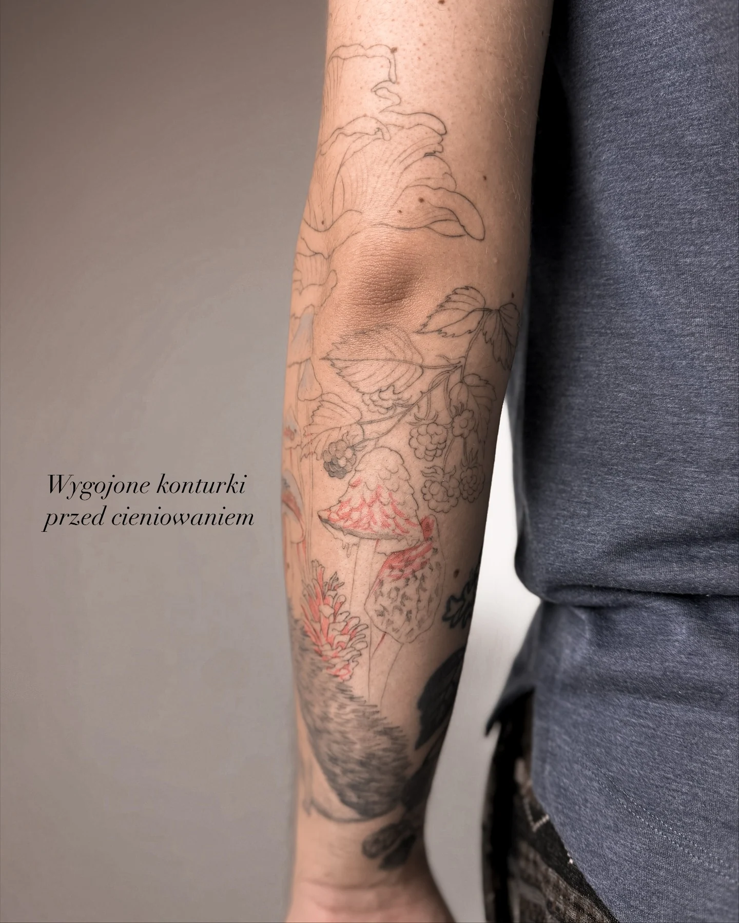 Karuzela przedstawiająca botaniczny tatuaż na przedramieniu: liście, kwiaty, grzyby i inne roślinne motywy rozbudowujące istniejącą kompozycję., zdjęcie 8 z 11