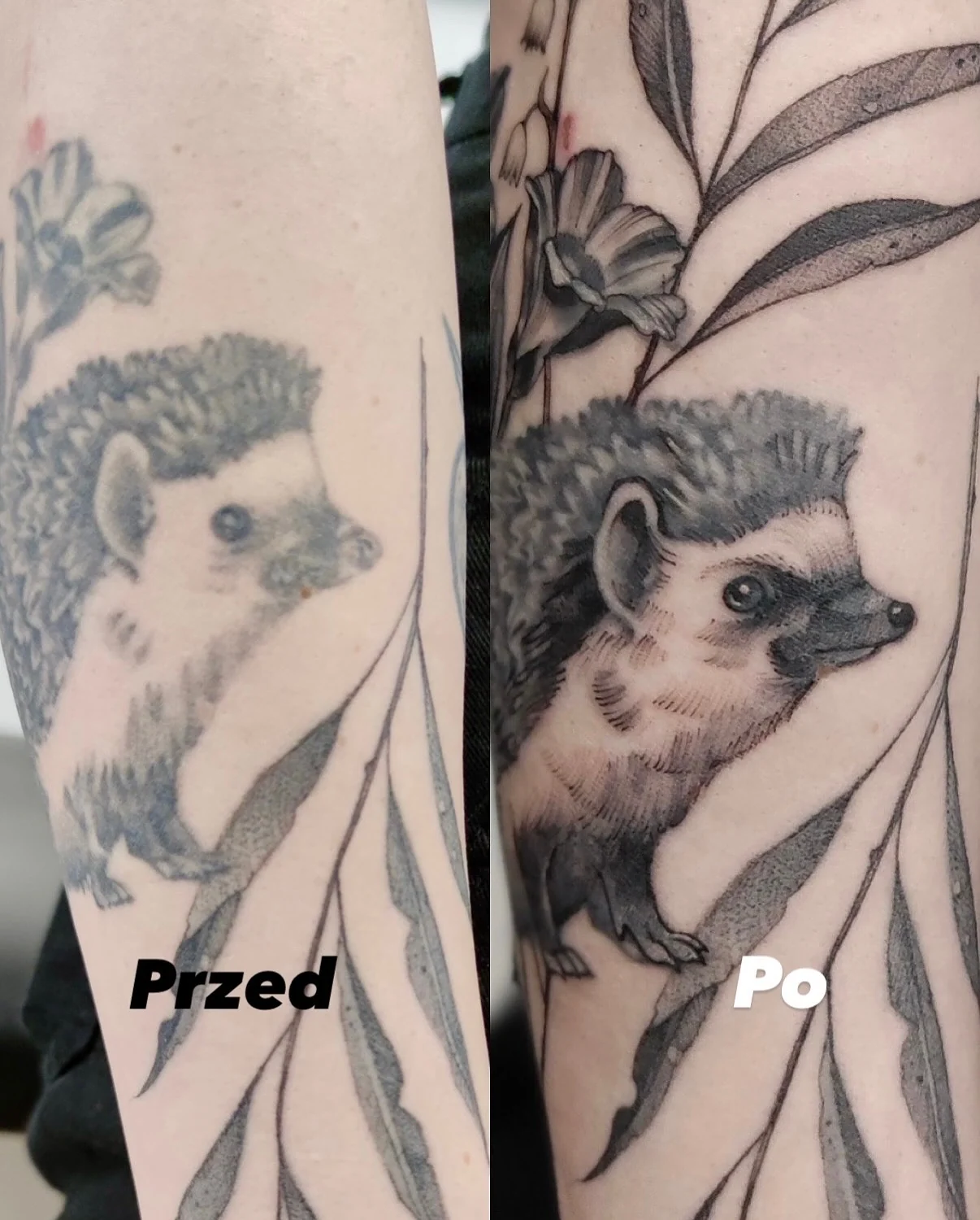 Porównanie tatuażu jeżyka przed i po metamorfozie: po lewej wcześniejsza wersja, po prawej dopracowany jeżyk otoczony gałązkami i liśćmi; widoczne są także etapy rysowania na skórze., zdjęcie 1 z 4