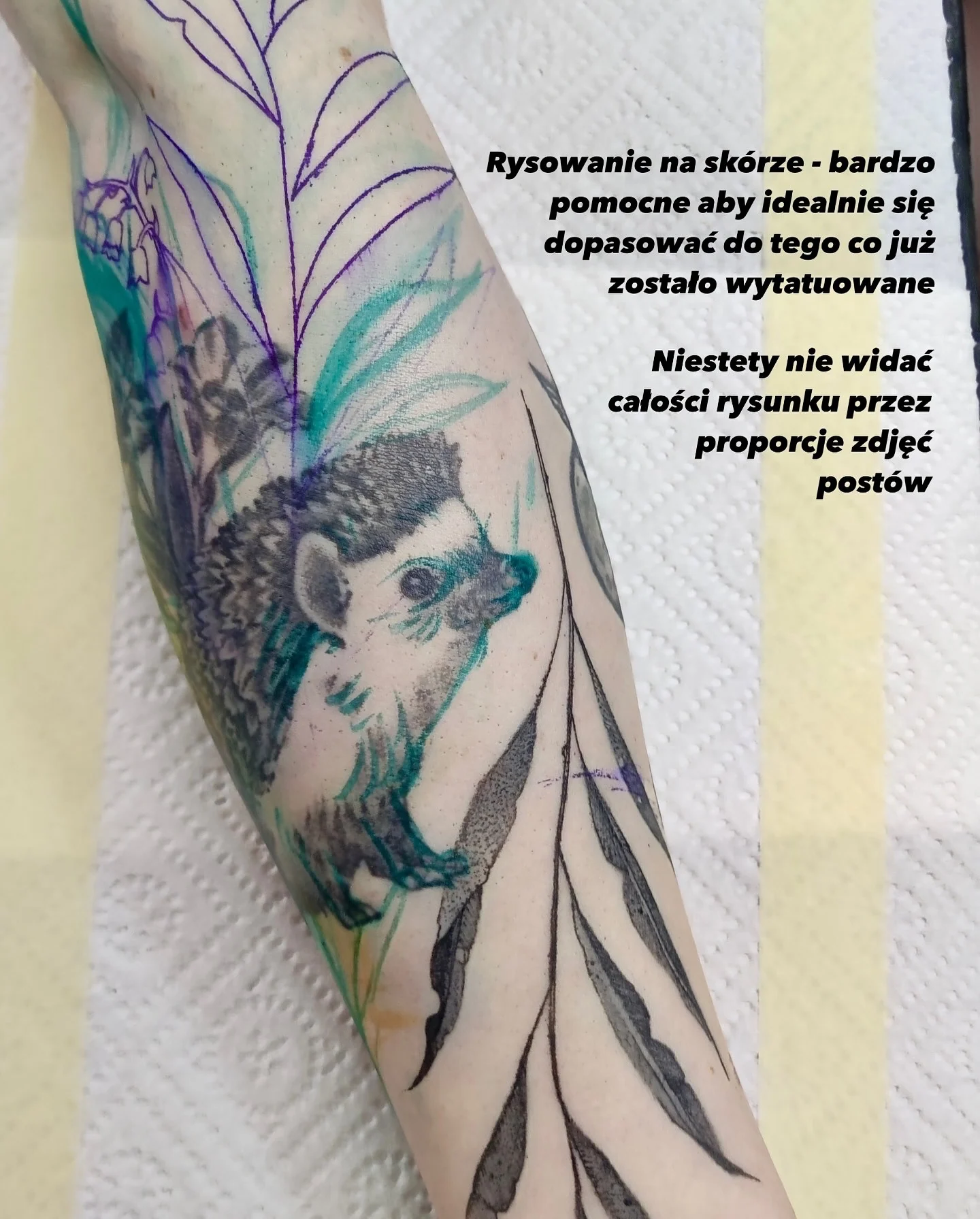Porównanie tatuażu jeżyka przed i po metamorfozie: po lewej wcześniejsza wersja, po prawej dopracowany jeżyk otoczony gałązkami i liśćmi; widoczne są także etapy rysowania na skórze., zdjęcie 2 z 4